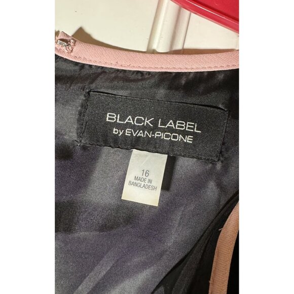 Sleeveless Black Label By Evan-Picone Dress Size 16 Black With Pink Trim - Picture 2 of 5
